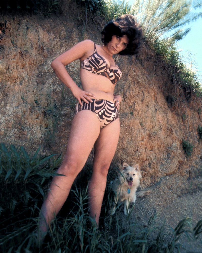 Adrienne Barbeau nude. Photo - 12