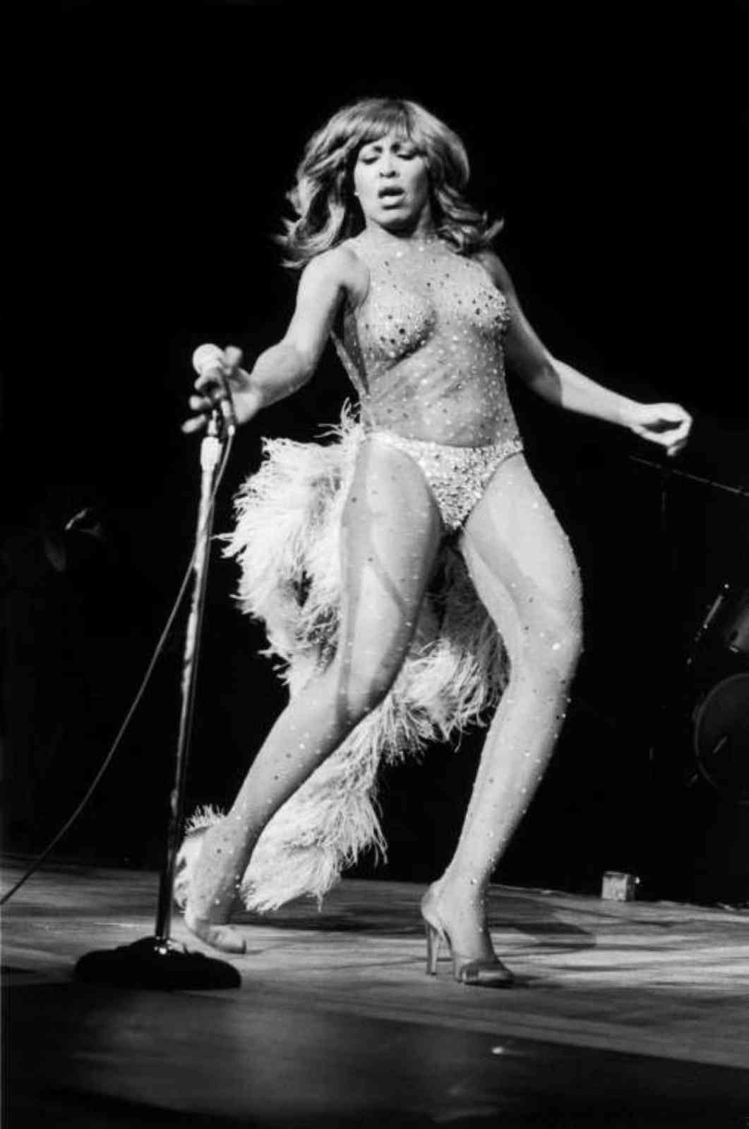 Tina Turner nude. Photo - 17